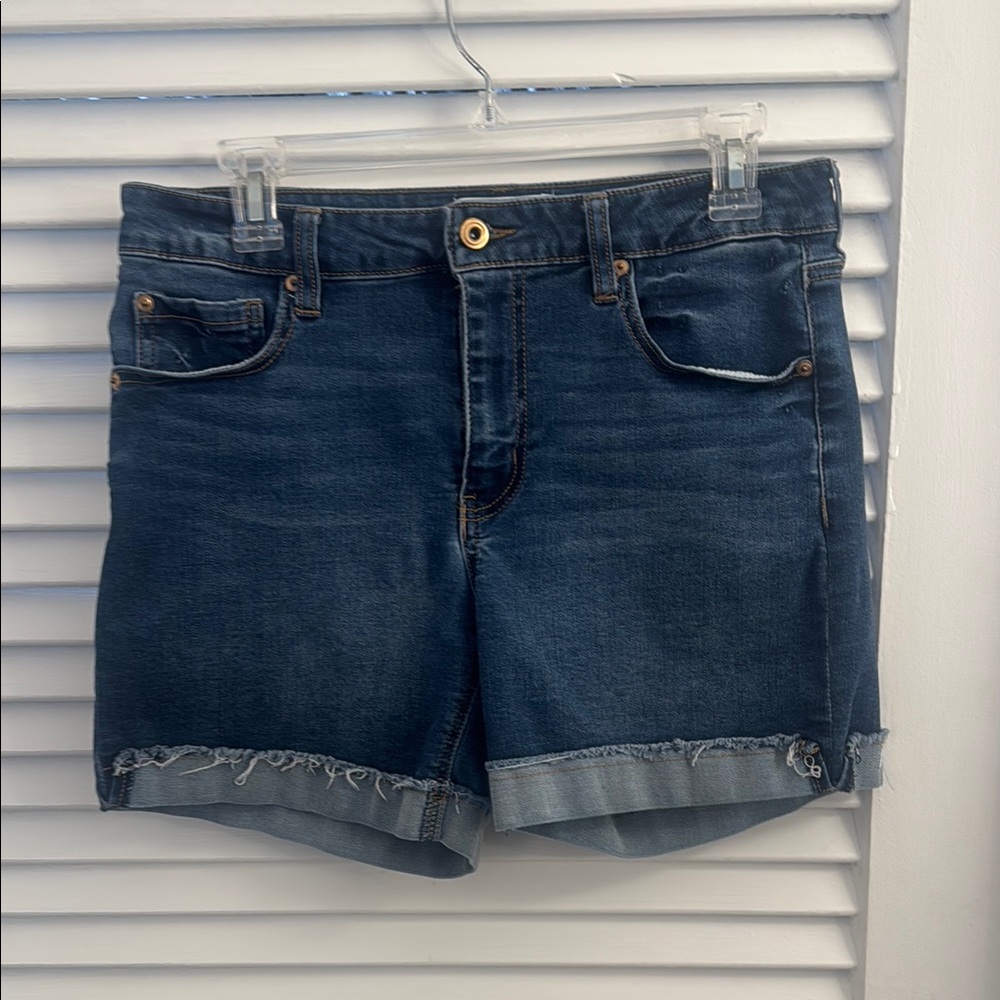 Celebrity Pink Mid Rise "Meadow" Denim Shorts - Size 11